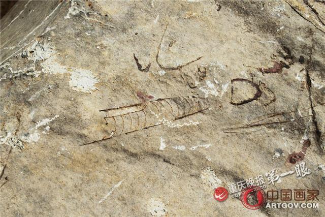 组图：重庆一中学现4亿年前海底生物化石 
