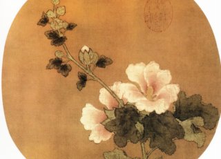 芙蓉图