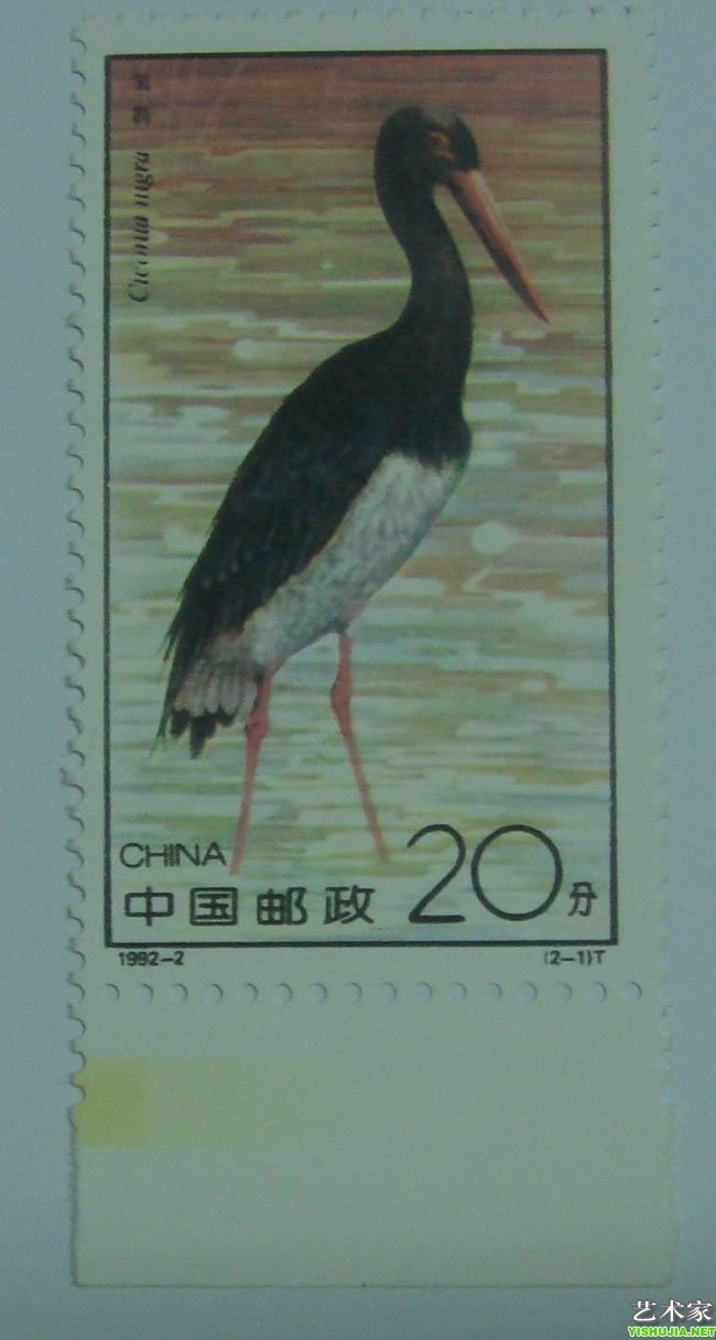 1992年鹳 1992-2